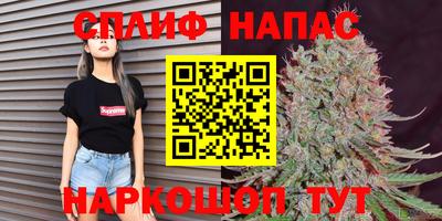 Альфа ПВП Будённовск